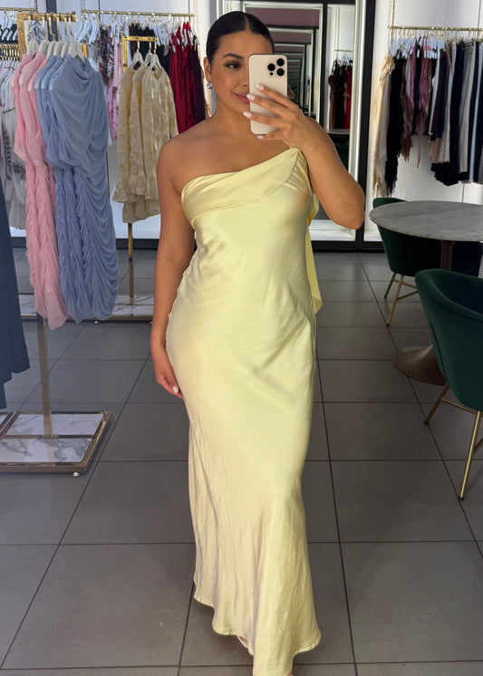 Oleandra maxi dress